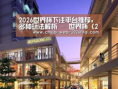 案例展示一(图1)