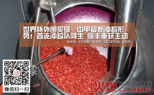 世界杯外围买球_
中甲最新冲超形势!首支冲超队降生 恒丰重获主动权 亚泰陷绝境(图2) 世界杯投注