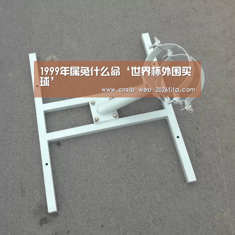 1999年属兔什么命‘世界杯外围买球’(图1) 世界杯投注