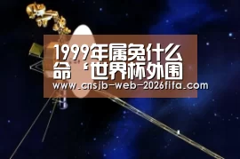 1999年属兔什么命‘世界杯外围买球’(图2) 世界杯外围买球
