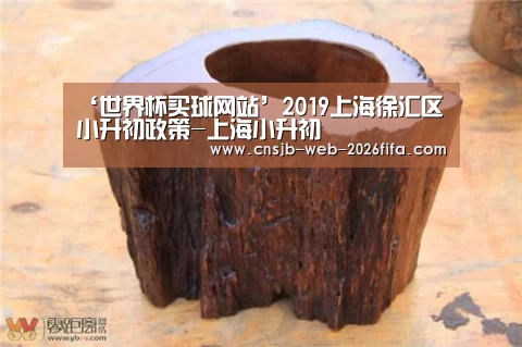 世界杯外围买球