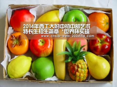 2014年西工大附中初中部艺术特长生招生简章‘世界杯买球网站’(图4) 世界杯投注