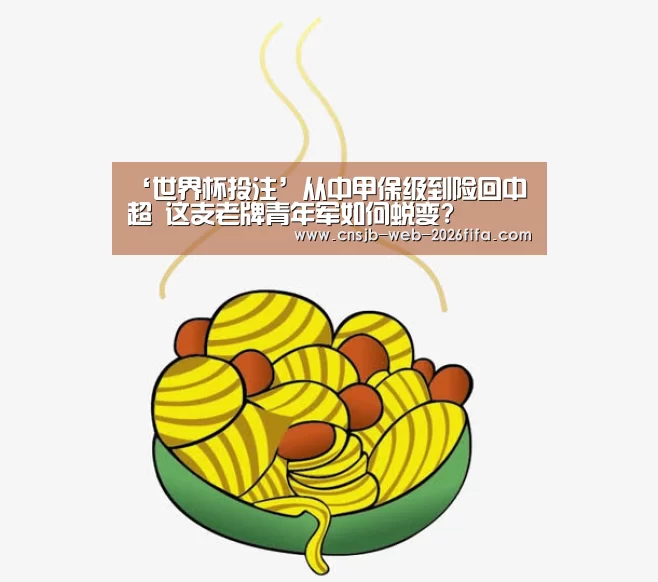 ‘世界杯投注’从中甲保级到险回中超 这支老牌青年军如何蜕变?(图1) 世界杯买球网站