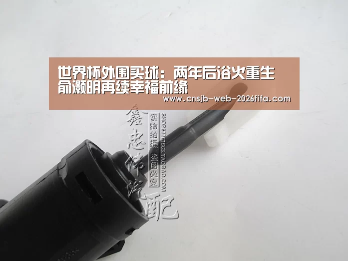 世界杯外围买球:两年后浴火重生 俞灏明再续幸福前缘(图1) 世界杯投注