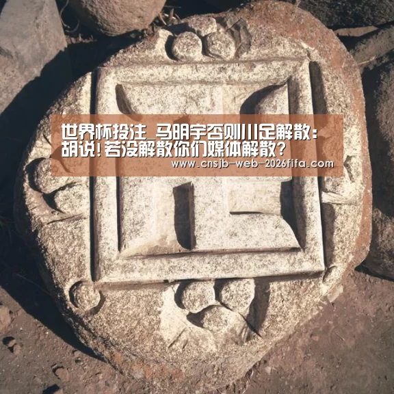 世界杯投注_马明宇否则川足解散:胡说!若没解散你们媒体解散?(图4) 世界杯买球网站