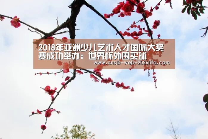 2018年亚洲少儿艺术人才国际大奖赛成功举办:世界杯外围买球(图3) 世界杯投注