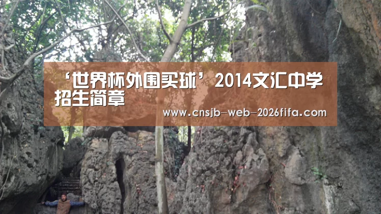 ‘世界杯外围买球’2014文汇中学招生简章(图1) 2026世界杯